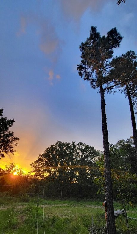 pinkplushieplants セックスモデル 写真