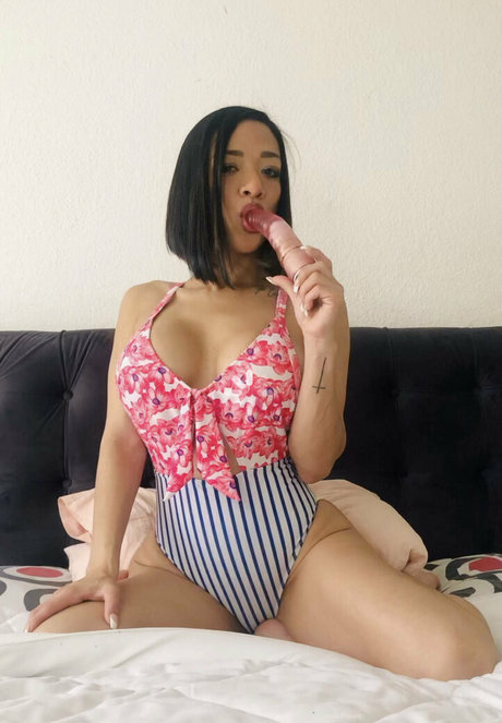 アラブのゲイオンリーファンズ 素敵 ギャラリー