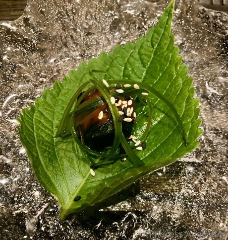 princessaugustine トップ女優 写真