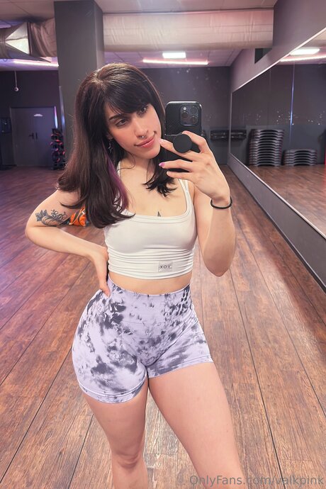 Valkpink 完璧なスター 写真