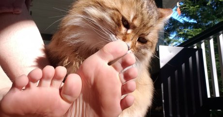 softcorekittyx ポルノスター アート 写真