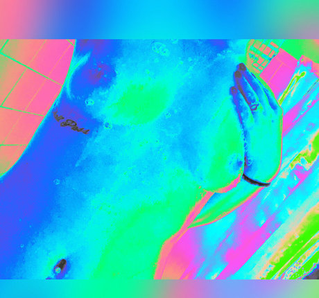 ミラーセルフィーオンリーファンズ HD アーカイブ