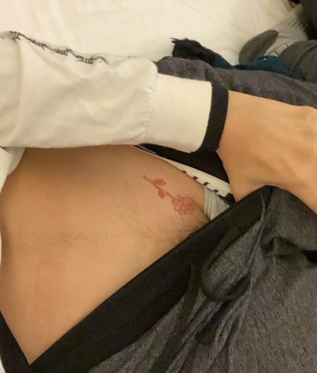 fe lina 完璧なスター 写真