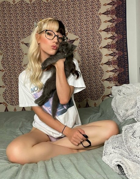 elladevilfree ポルノスター 写真