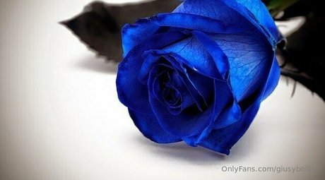 only queen84 最高の女優 写真