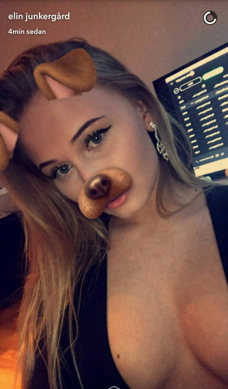 Elin Junkergard HDスター 画像