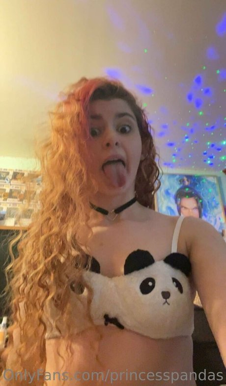 princesspandas 美しいスター 写真