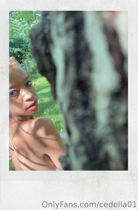 cedella01 最高のスター 写真