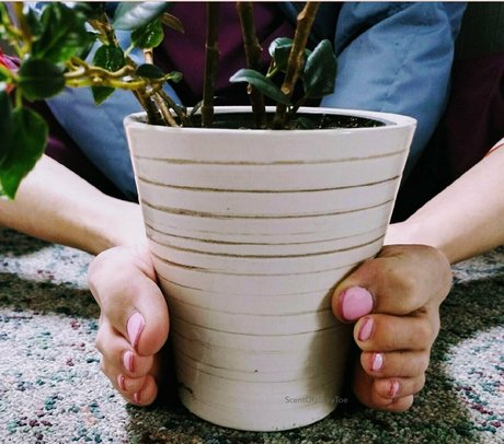 scentofasilkytoe 素敵なポルノスター ギャラリー