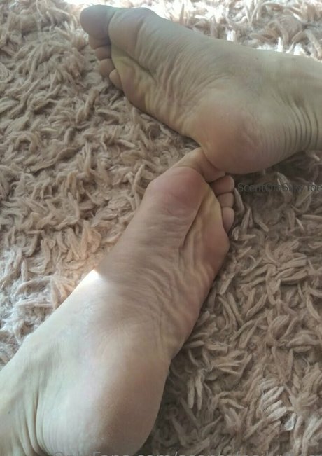 scentofasilkytoe トップモデル 写真