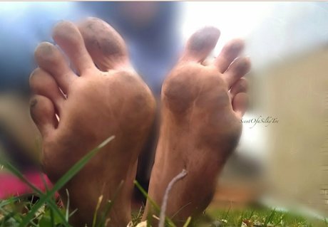 scentofasilkytoe 限定モデル 写真