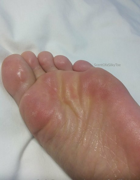 scentofasilkytoe トップモデル 写真