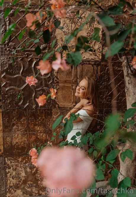 tasechka ポルノスター HD ギャラリー