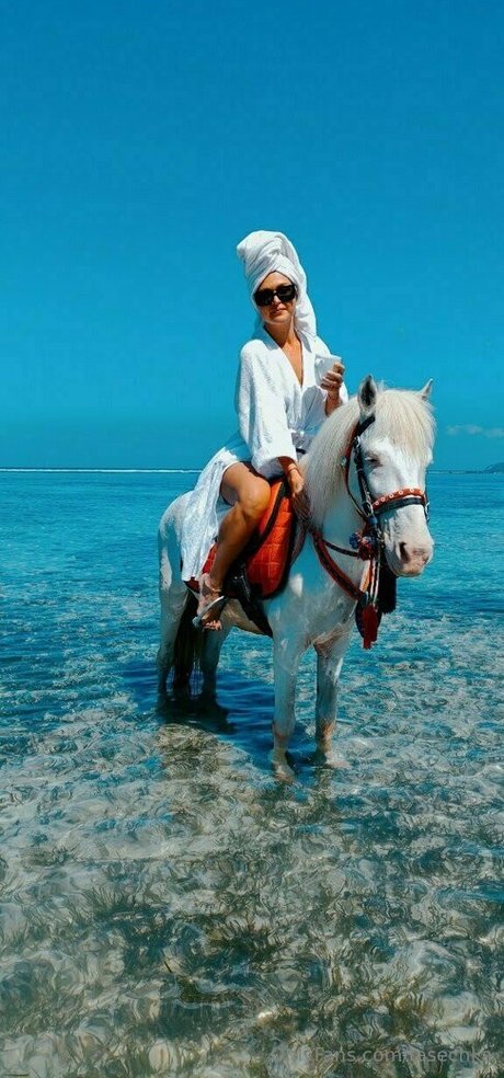 tasechka HDスター ギャラリー