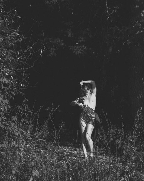 katereenkis 無料スター 写真