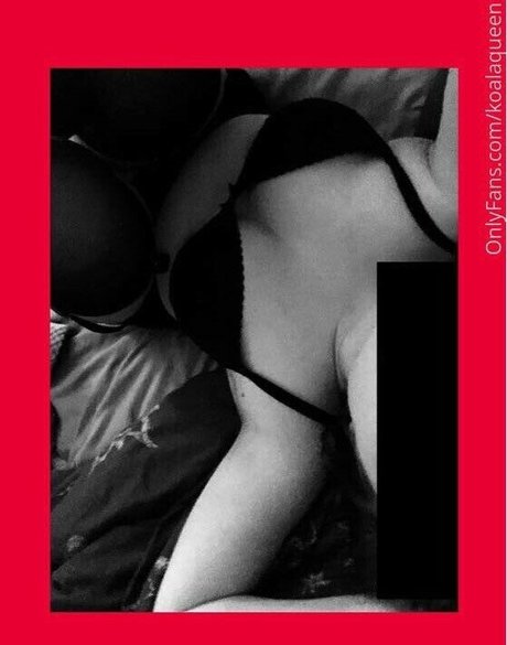 Bailey Grey スター xxx 画像