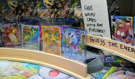 elladonella free 高品質スター 画像