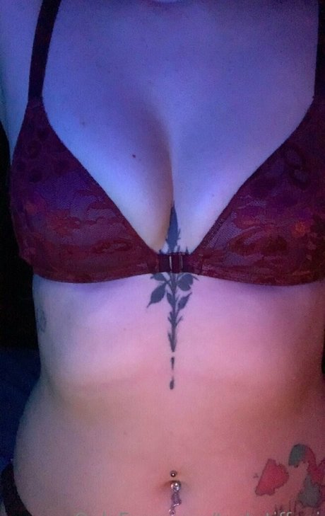 tastytiffani 高品質のスター ギャラリー