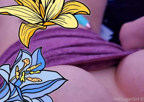 hotsugargirl トップスター 画像