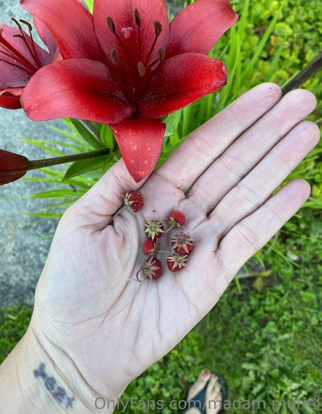 madam muriel ポルノスター セックス 写真