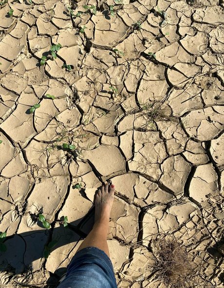 madam muriel ポルノスター アート 写真