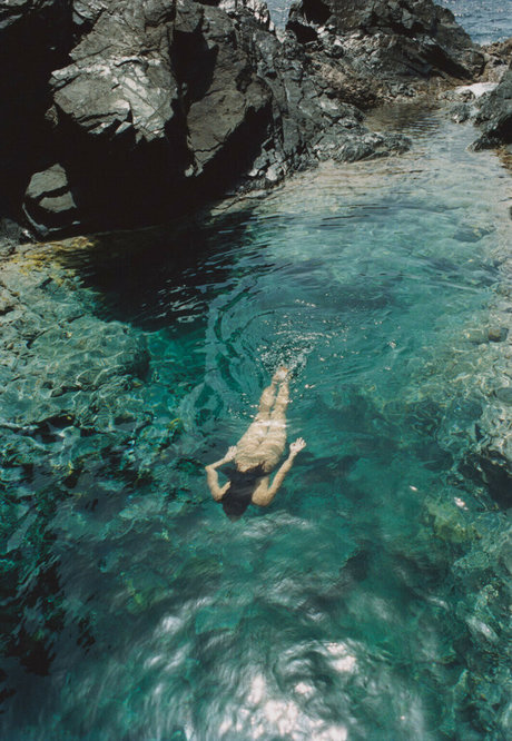 精子オンリーファン ポルノ 画像