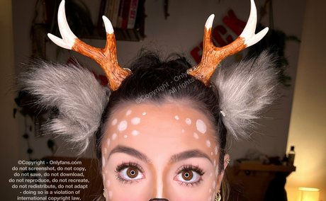 megartron 最高のスター 写真