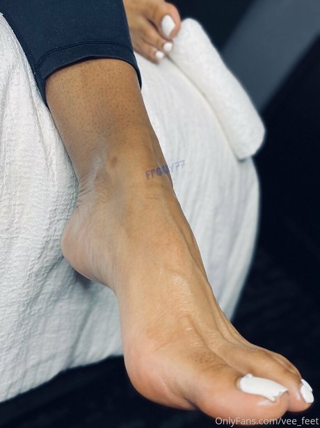 vee feet 高品質スター ギャラリー