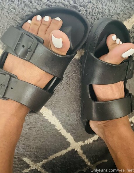 vee feet 無料のスター 画像