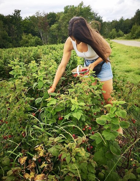 Vanessa Berge アートモデル 写真