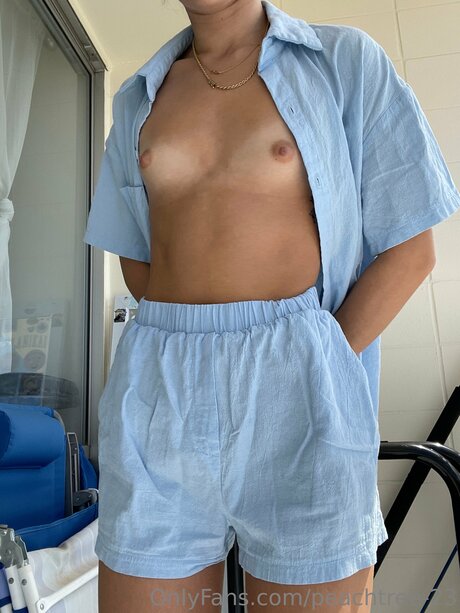 peachtree 23 最高のモデル 画像