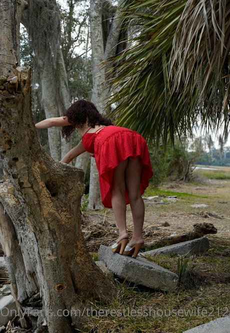 therestlesshousewife2121 高品質モデル 写真