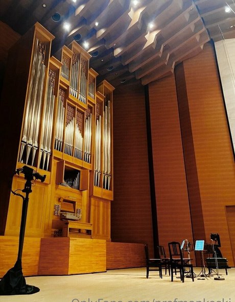 profmankoski かわいいスター 画像