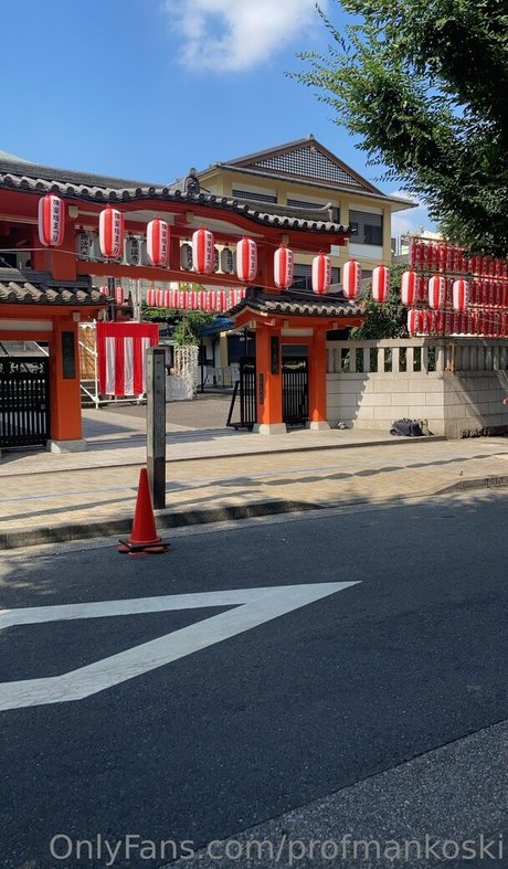 profmankoski xxxモデル 画像