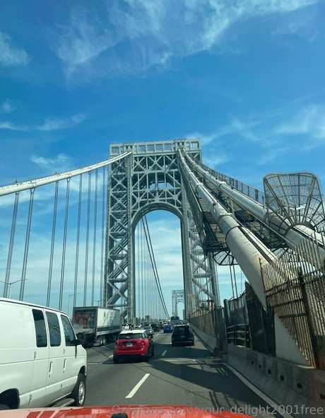 your delight2001free ホット女優 画像