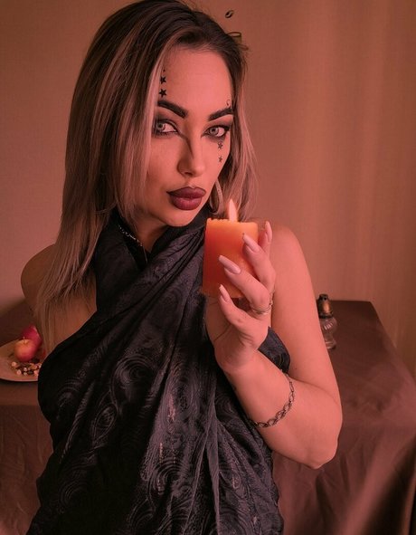 camellia home 完璧なスター 画像