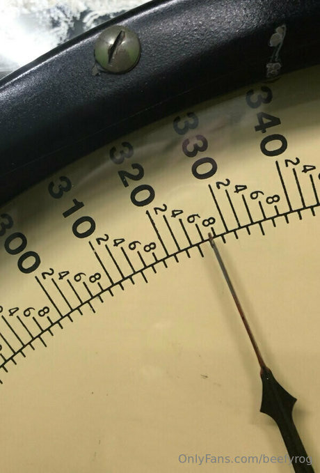 beefyrog ホットモデル 写真