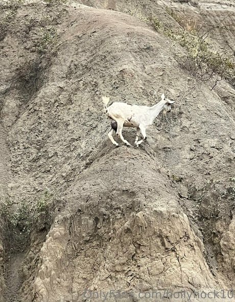 suuuuuki HD女優 写真