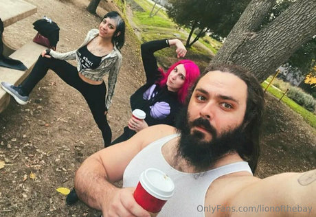 lionofthebay アートスター 画像