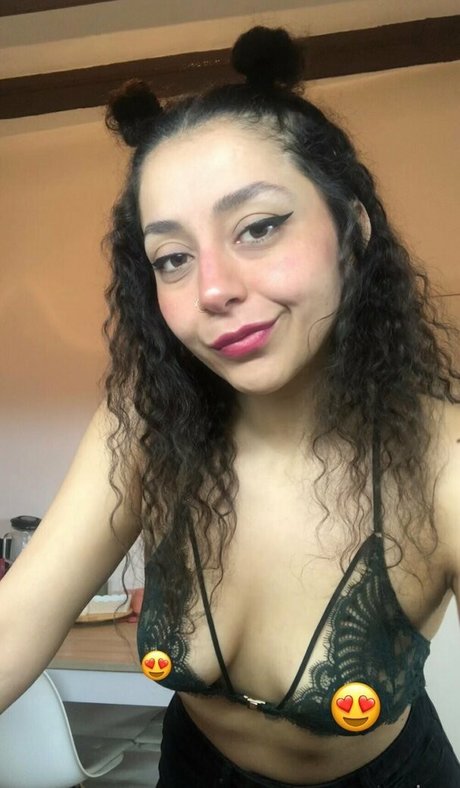 renne miau ホットスター 画像