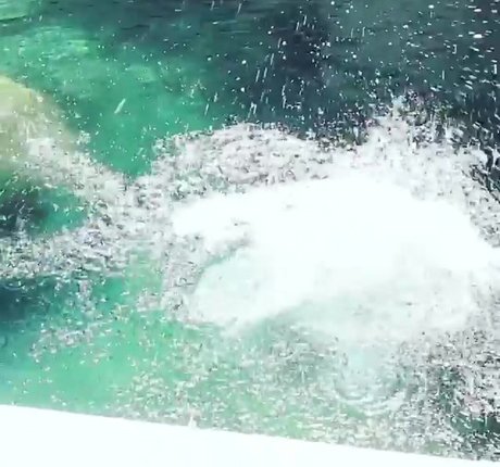 肉厚熟女オンリーファンズ 無料ポルノ 画像