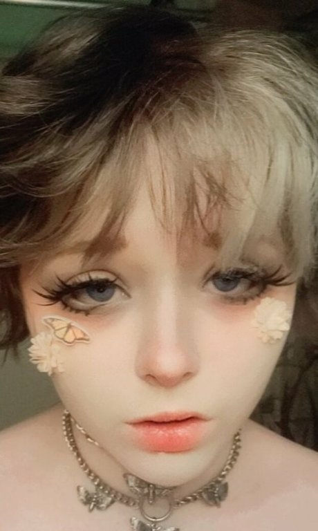 cherub cheeks アートスター 写真