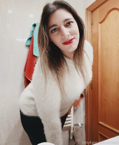 aniwan HDモデル 写真