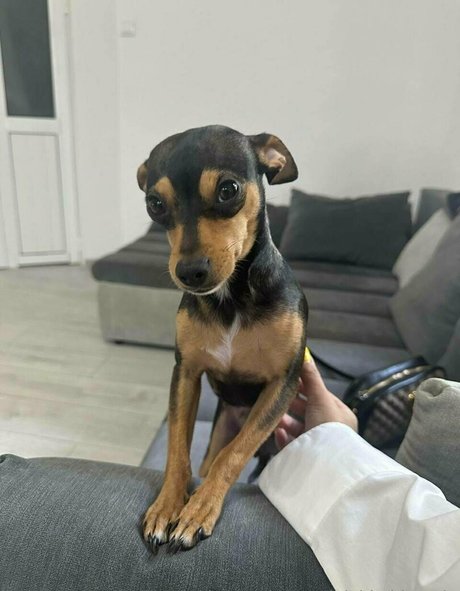 bianoir ポルノスター ベスト 写真