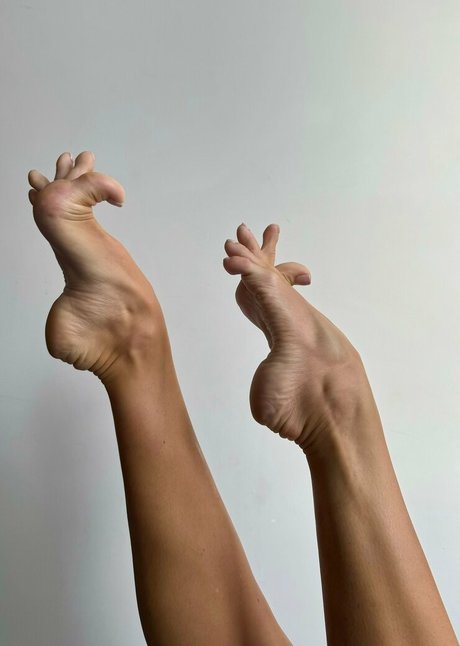 swanfee プロフィール写真