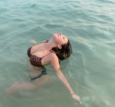 Solllomia 限定モデル 写真