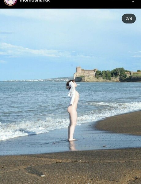 Momosharkk 素敵なスター 写真