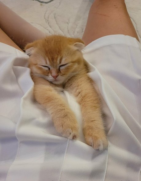 最もホットなティーンオンリーファン エロ 写真