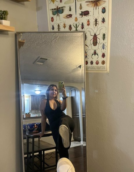 steph 限定モデル 写真