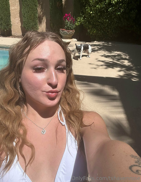 tshavenrose ポルノスター ホット ギャラリー